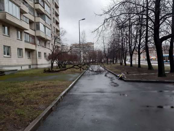 Петербуржцы рассказали о первых последствиях штормового ветра