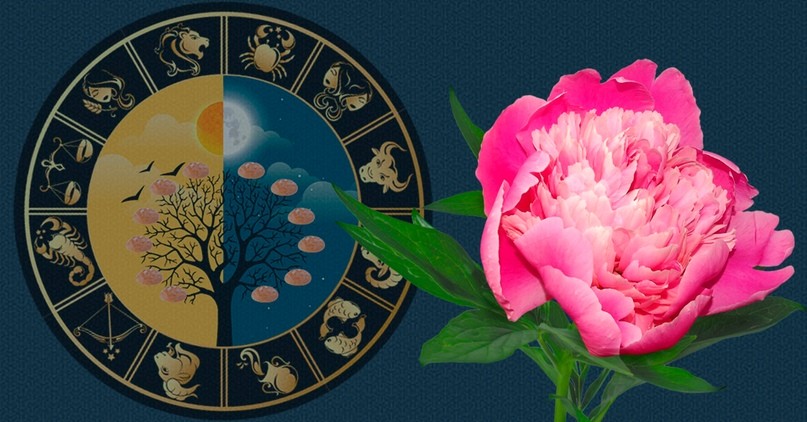 Лунный календарь для огородника на апрель 2020 года укажет на лучшие посадочные дни во втором месяце весны