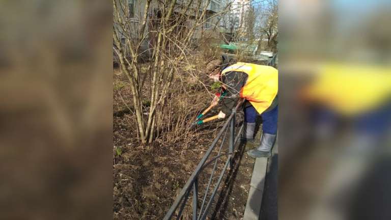 В Пушкинском районе подвели первые итоги месячника благоустройства