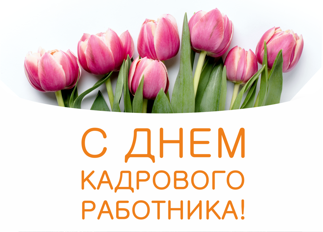 День кадровика в России 24 мая, красивые открытки, поздравления, история праздника