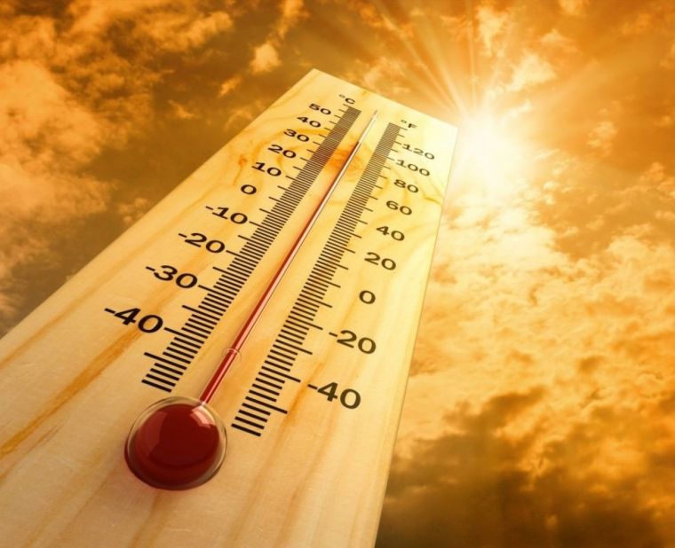 Какие прогнозы дают синоптики касательно аномально жаркого лета 2020 года?