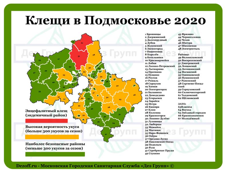 Перечень эндемичных территорий России по клещевому вирусному энцефалиту в 2020 году, симптомы и лечение заболевания