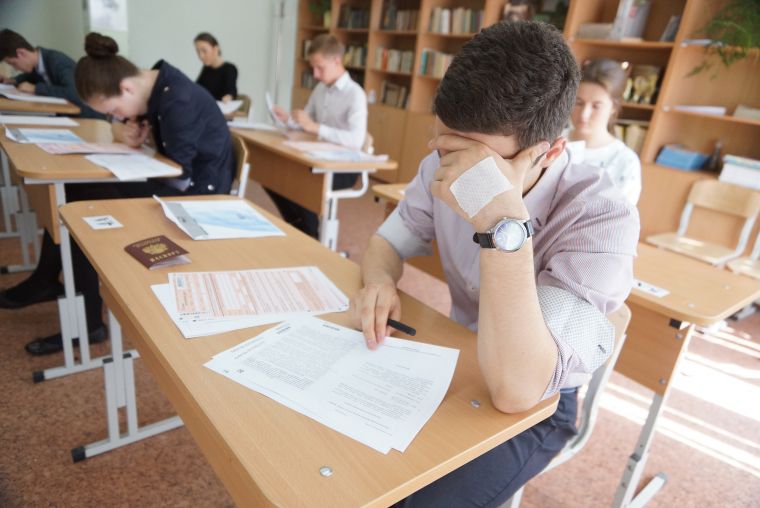 Полностью отменить ОГЭ для школьников в 2020 году хотят в Министерстве образования России
