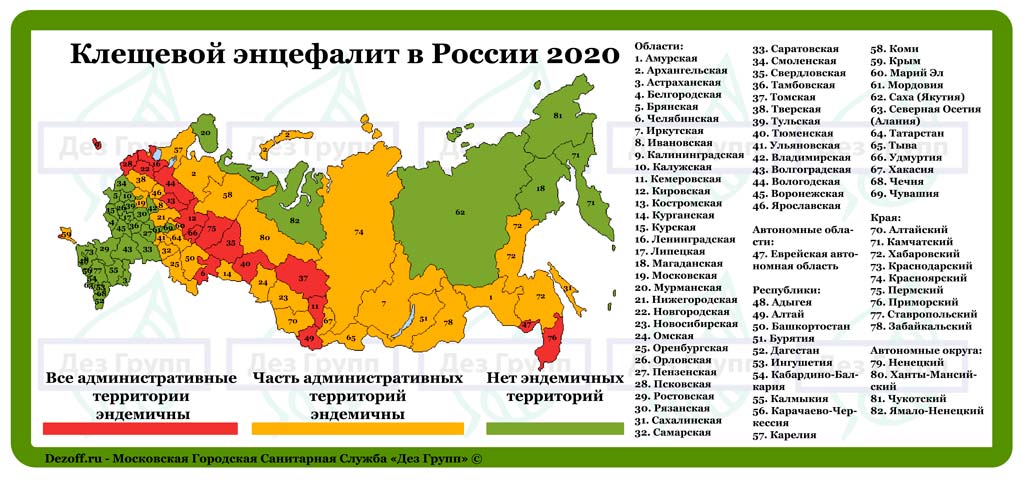 Перечень эндемичных территорий России по клещевому вирусному энцефалиту в 2020 году, симптомы и лечение заболевания