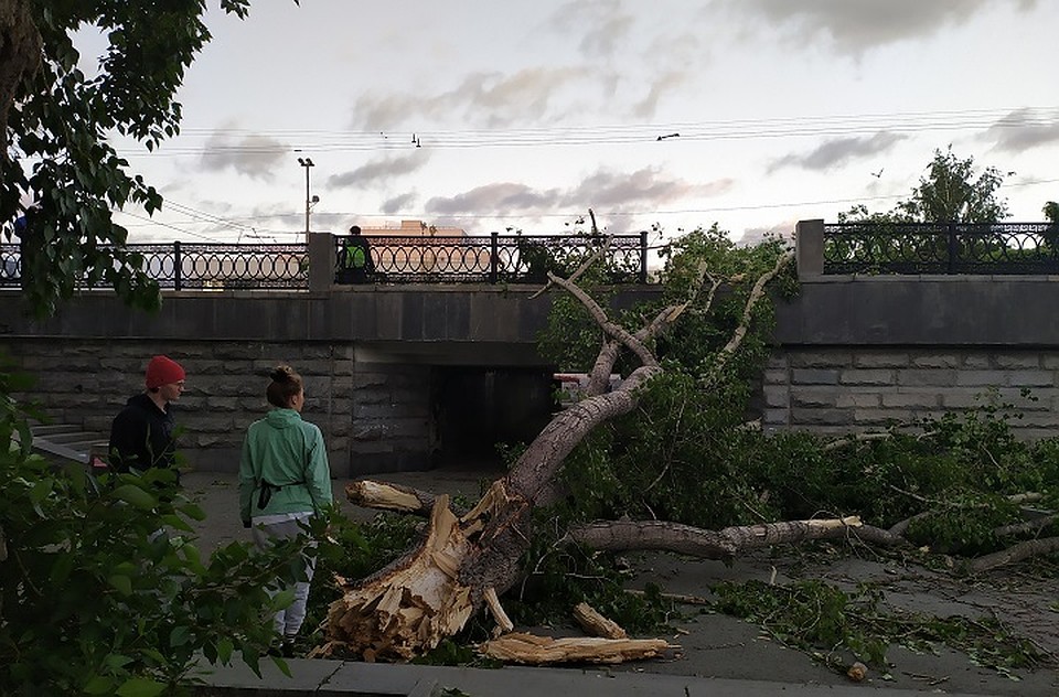 Последствия и жертвы урагана в Свердловской области 25.05.2020