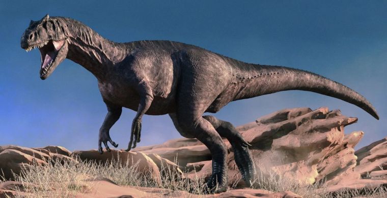 Каннибализм среди динозавров был распространен сильнее, чем считали палеонтологи