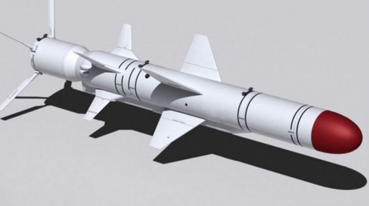 В Украине провели испытания модернизированной крылатой ракеты Нептун