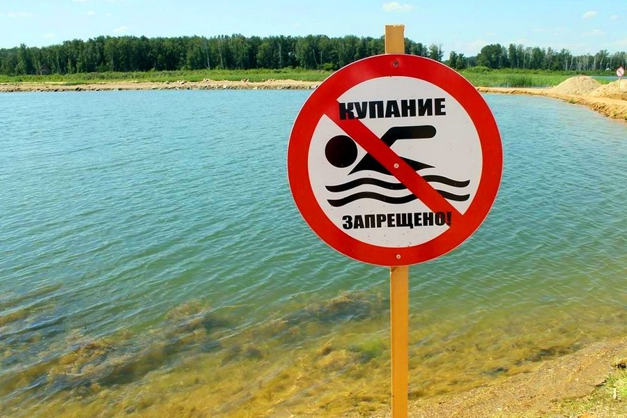 Когда можно будет купаться москвичам летом 2020 года в реке: зоны отдыха для купания и без него