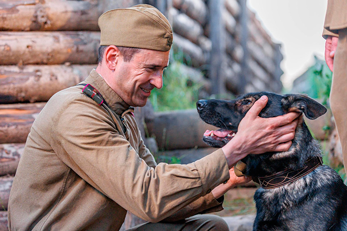 Сериал &laquo;Солдат по кличке Рекс&raquo; (2026) - сюжет, актеры и роли, кадры из сериала