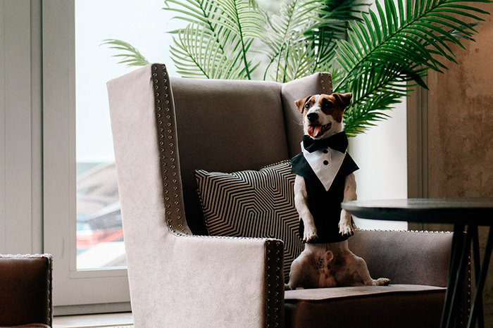 Сериал &laquo;Жека Рассел&raquo; (2026) - сюжет, актеры и роли, кадры из сериала